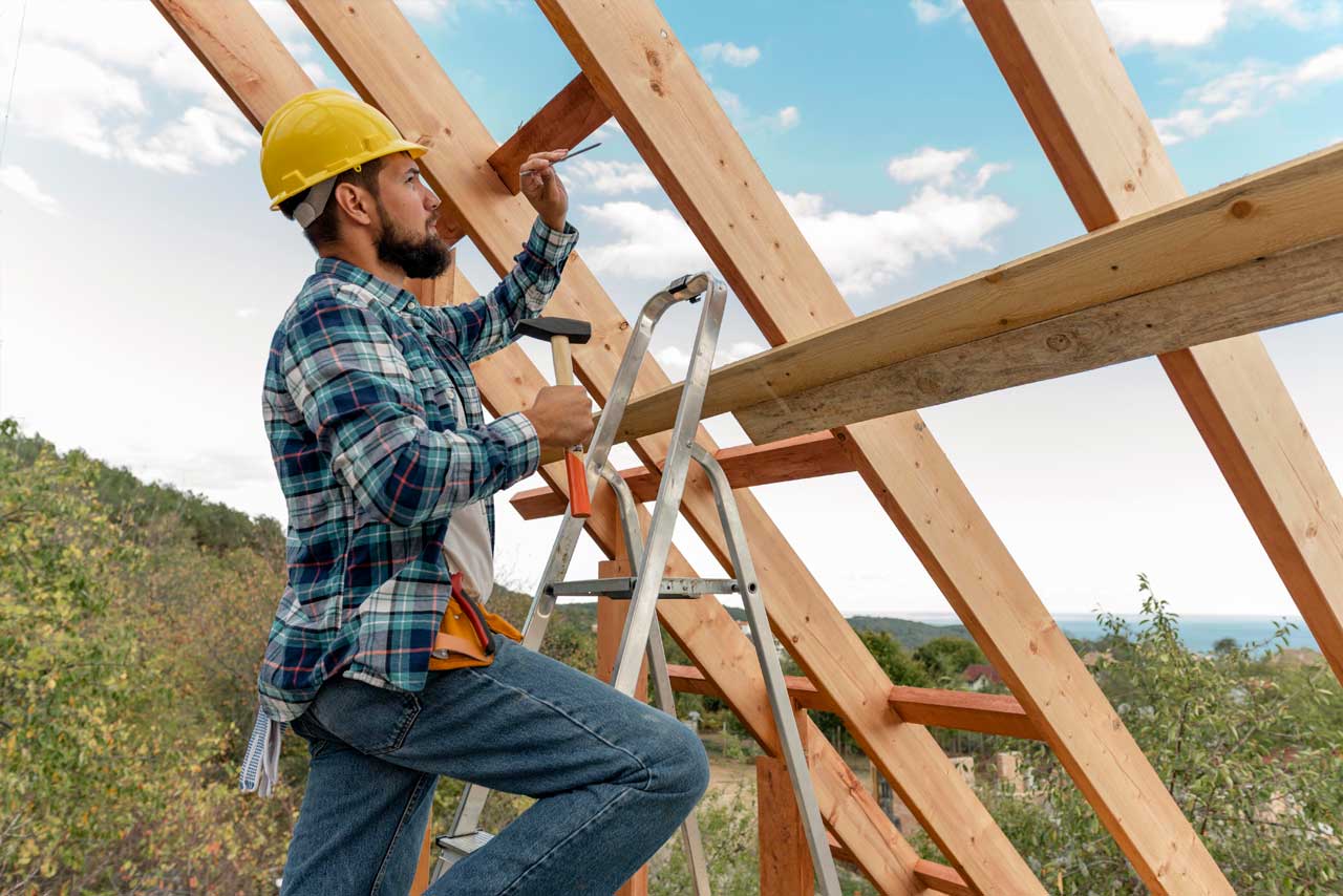 divi-renovator-theme-10