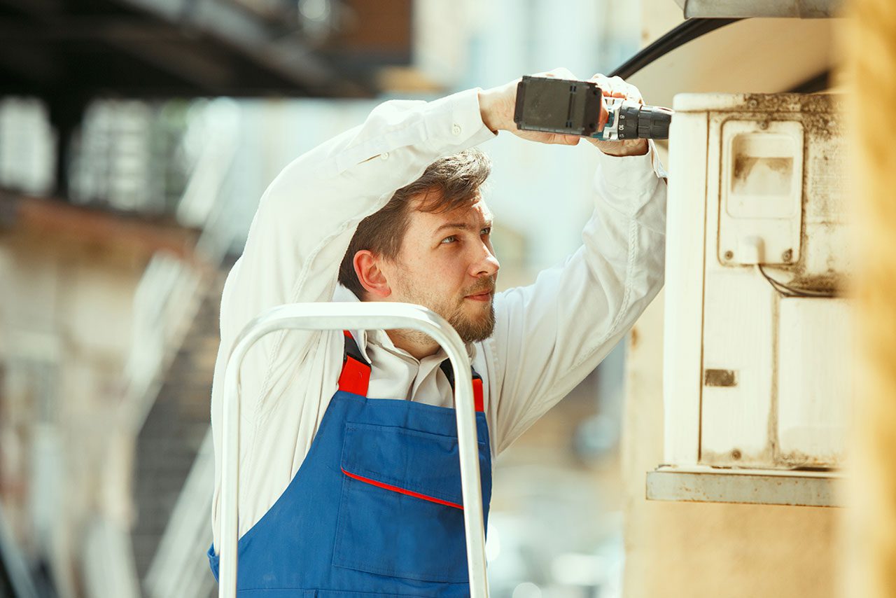 divi-renovator-theme-18